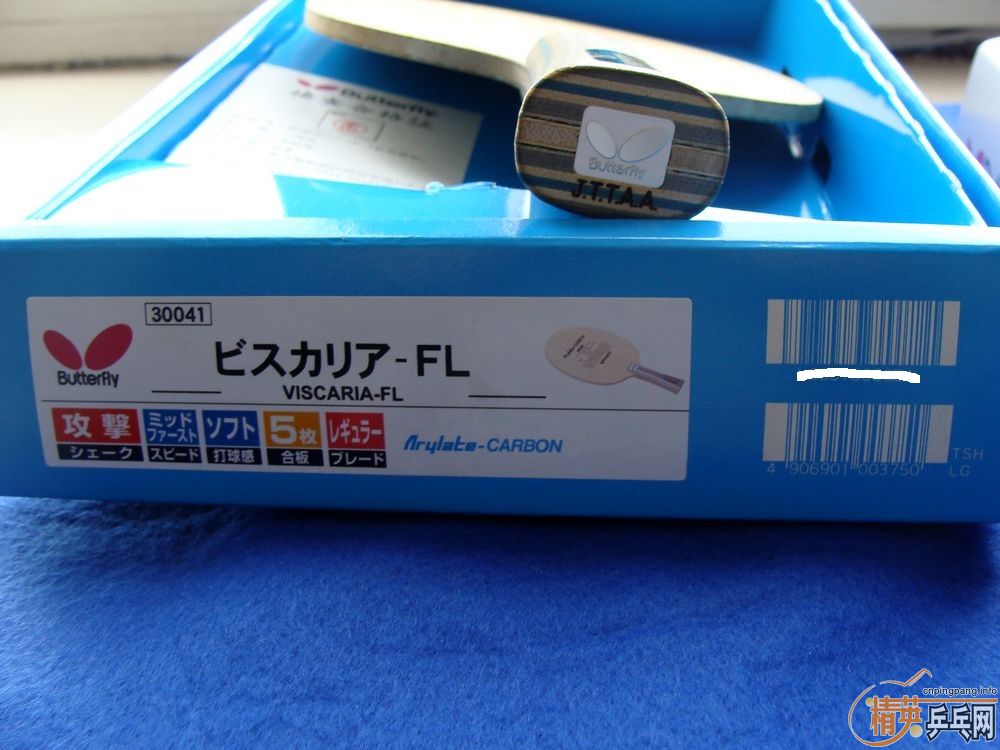 ������һ�������롿֧���� ���л�L�� VIS