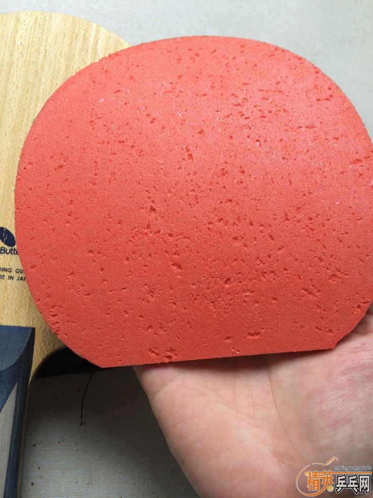 ¿boll zlc0564fx