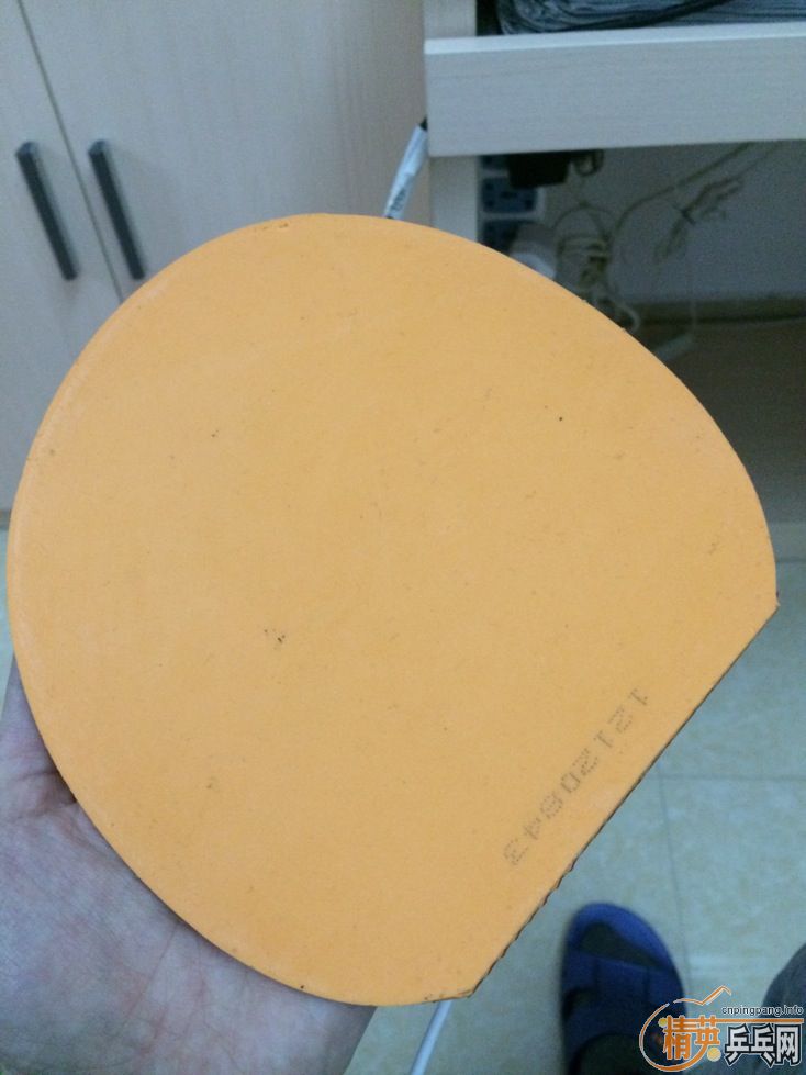 ¿boll zlc0564fx