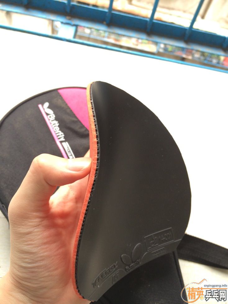 ¿boll zlc0564fx