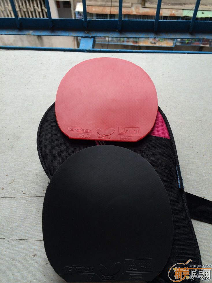 ¿boll zlc0564fx