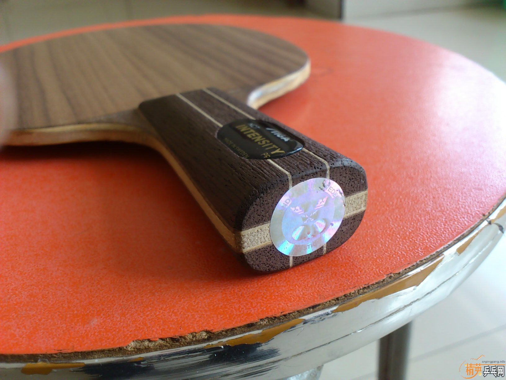 [ԭ��ʵ����л���ǿ��ľ��80�� ����û���