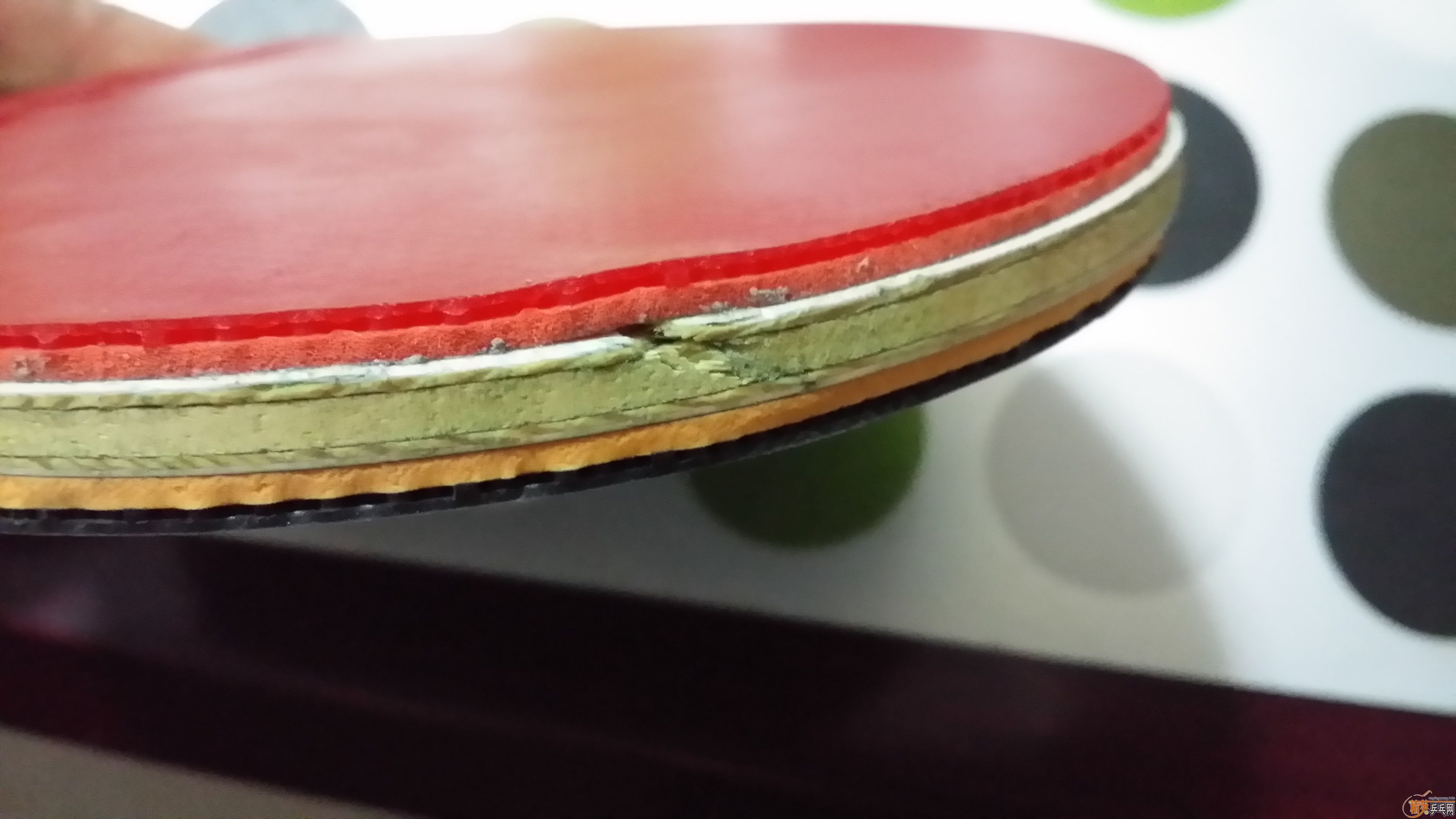 ����cc7�װ�  ����64 ����EL��