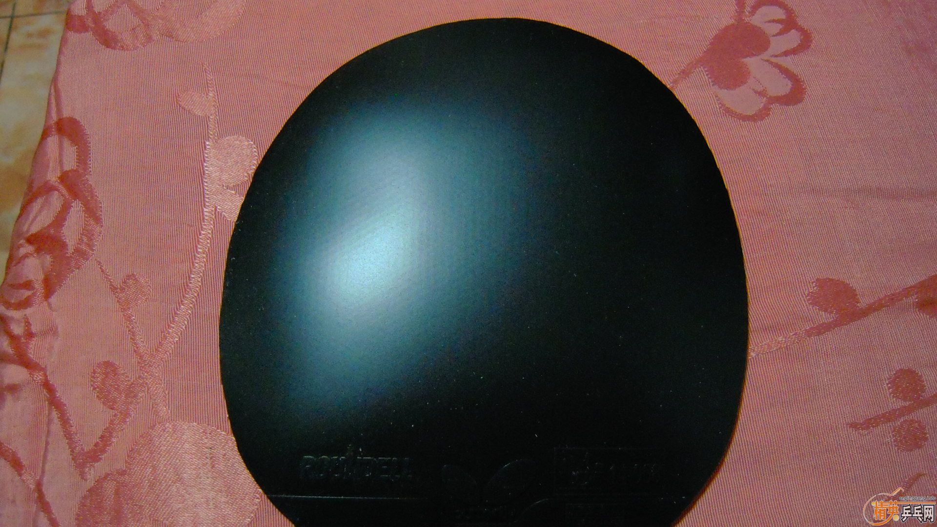 �������к���ROUNDELL����ɫ2.1��110���ʣ��������飡