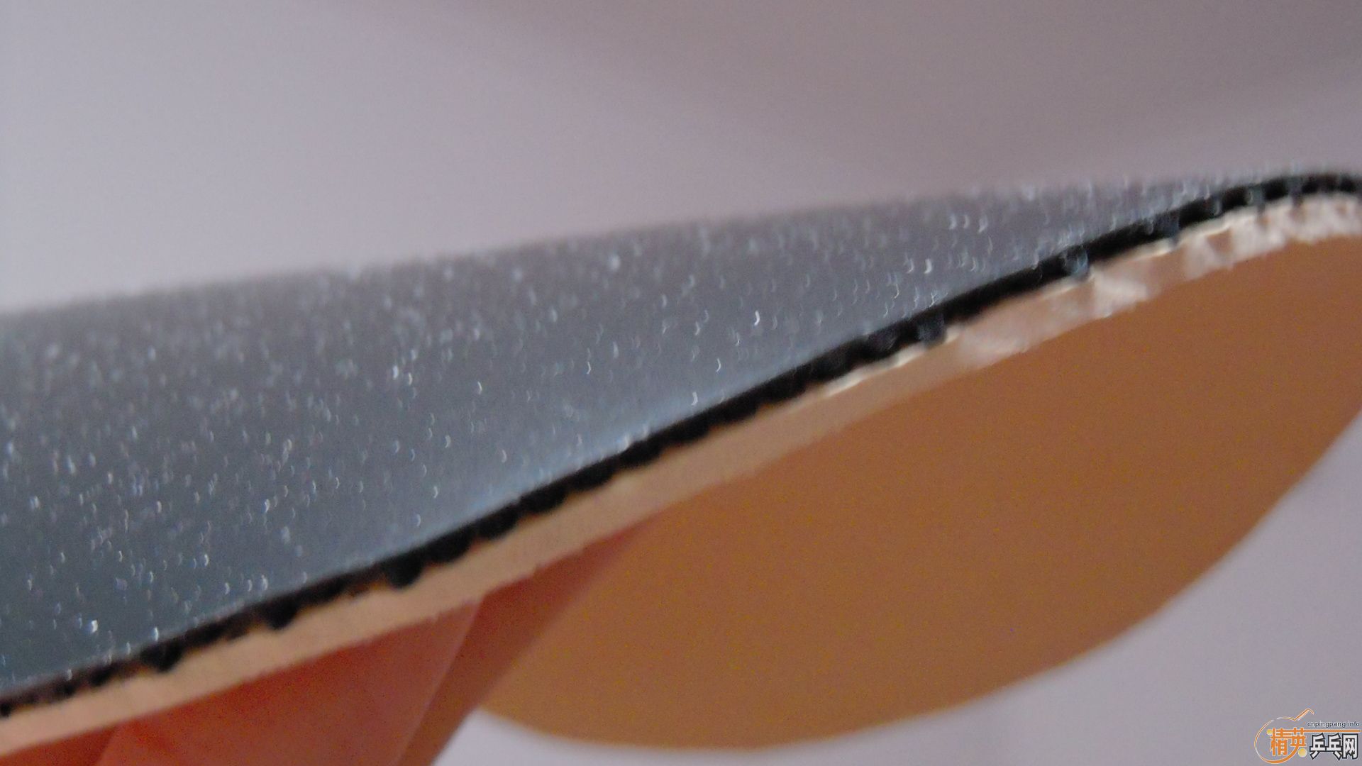 �������к���ROUNDELL����ɫ2.1��110���ʣ��������飡