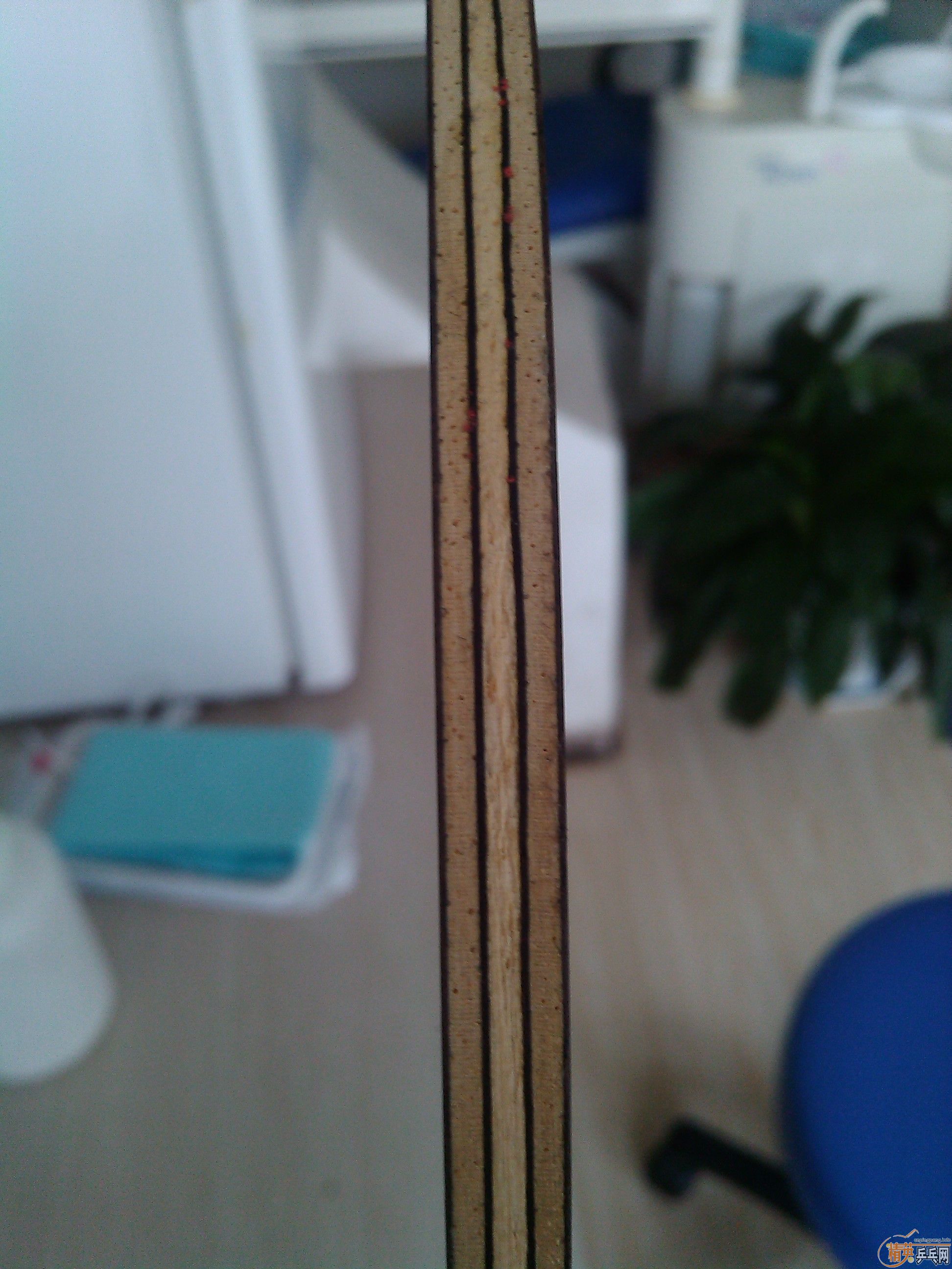 ŭ��9�¾�Ʒ��˹�ٿ���̴7�����޿���