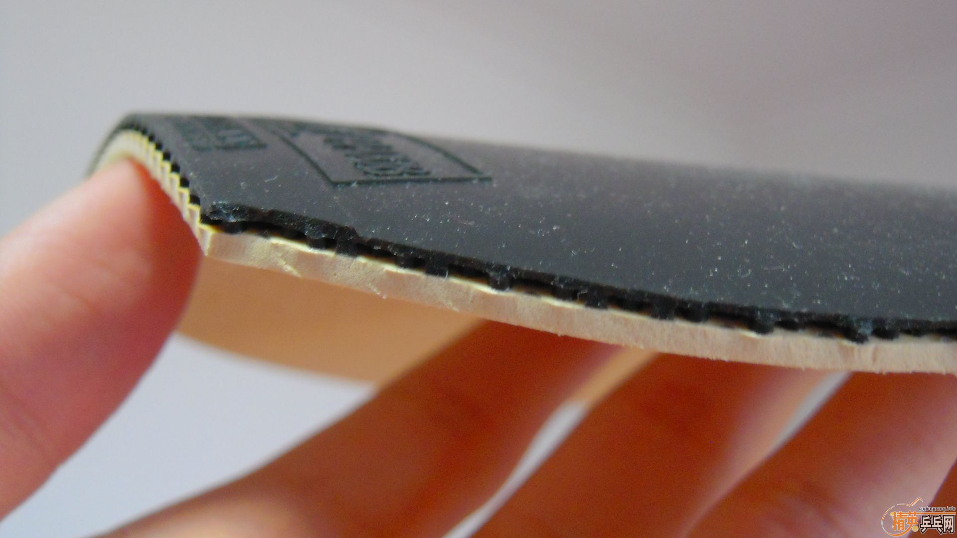 �������к���ROUNDELL����ɫ2.1��110���ʣ��������飡