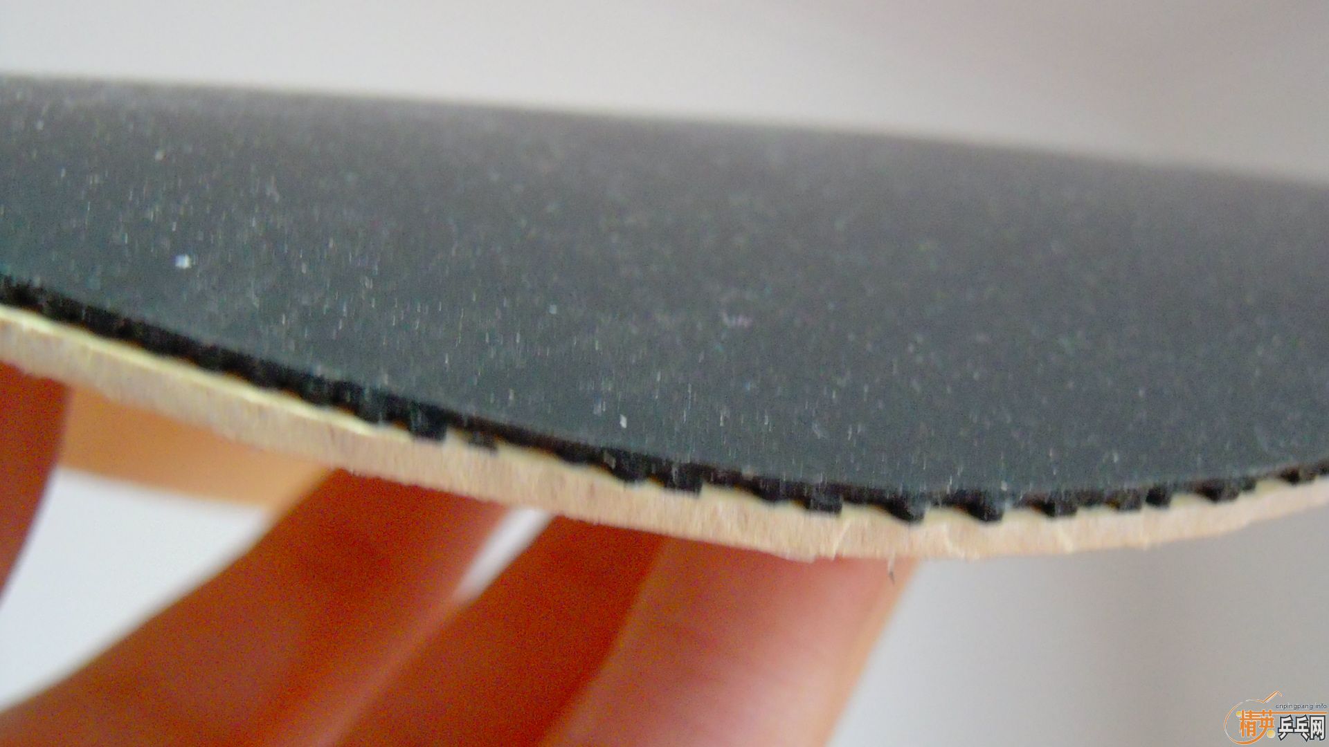 �������к���ROUNDELL����ɫ2.1��110���ʣ��������飡