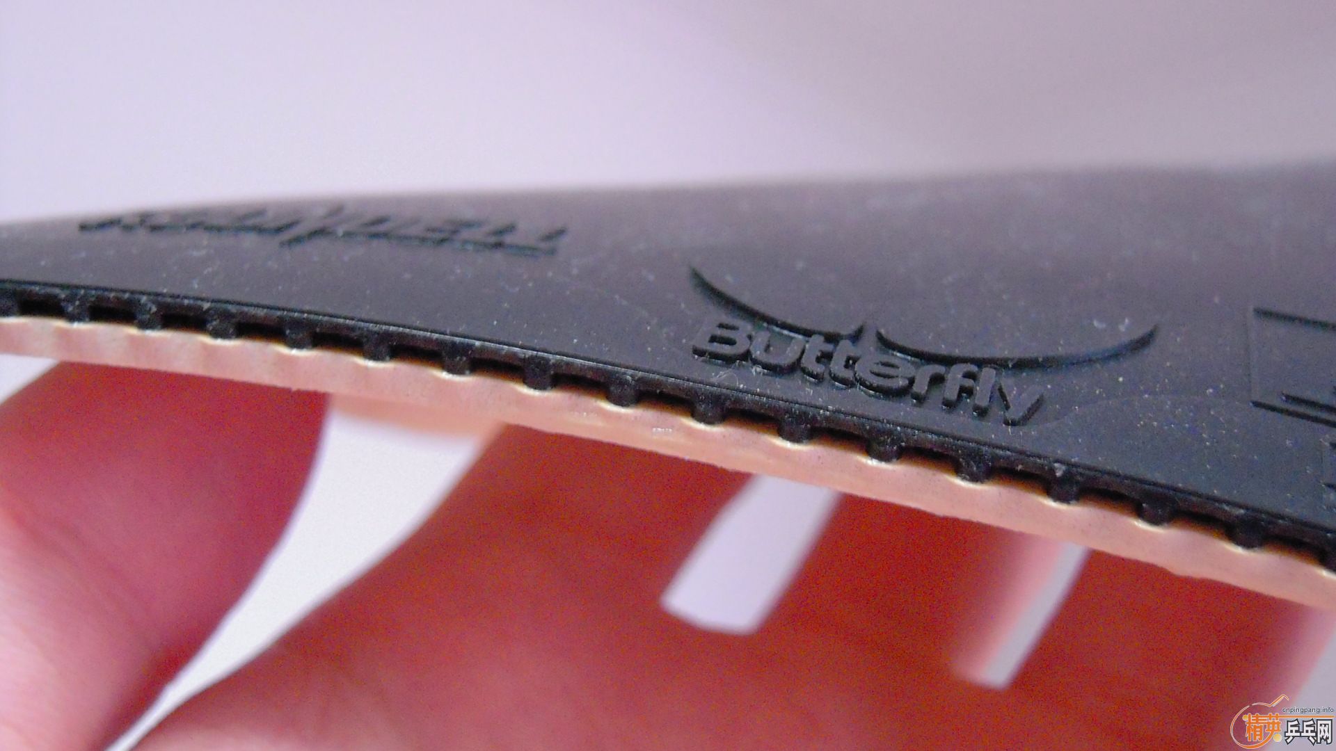 �������к���ROUNDELL����ɫ2.1��110���ʣ��������飡