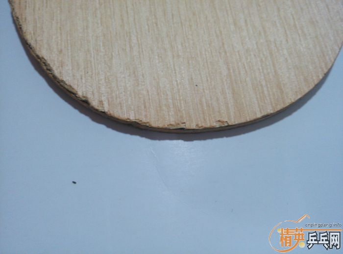 ��TSP ALLROUND REFLEX-System ���ģ�ST����FL����һ�飡