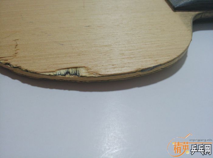 ��TSP ALLROUND REFLEX-System ���ģ�ST����FL����һ�飡