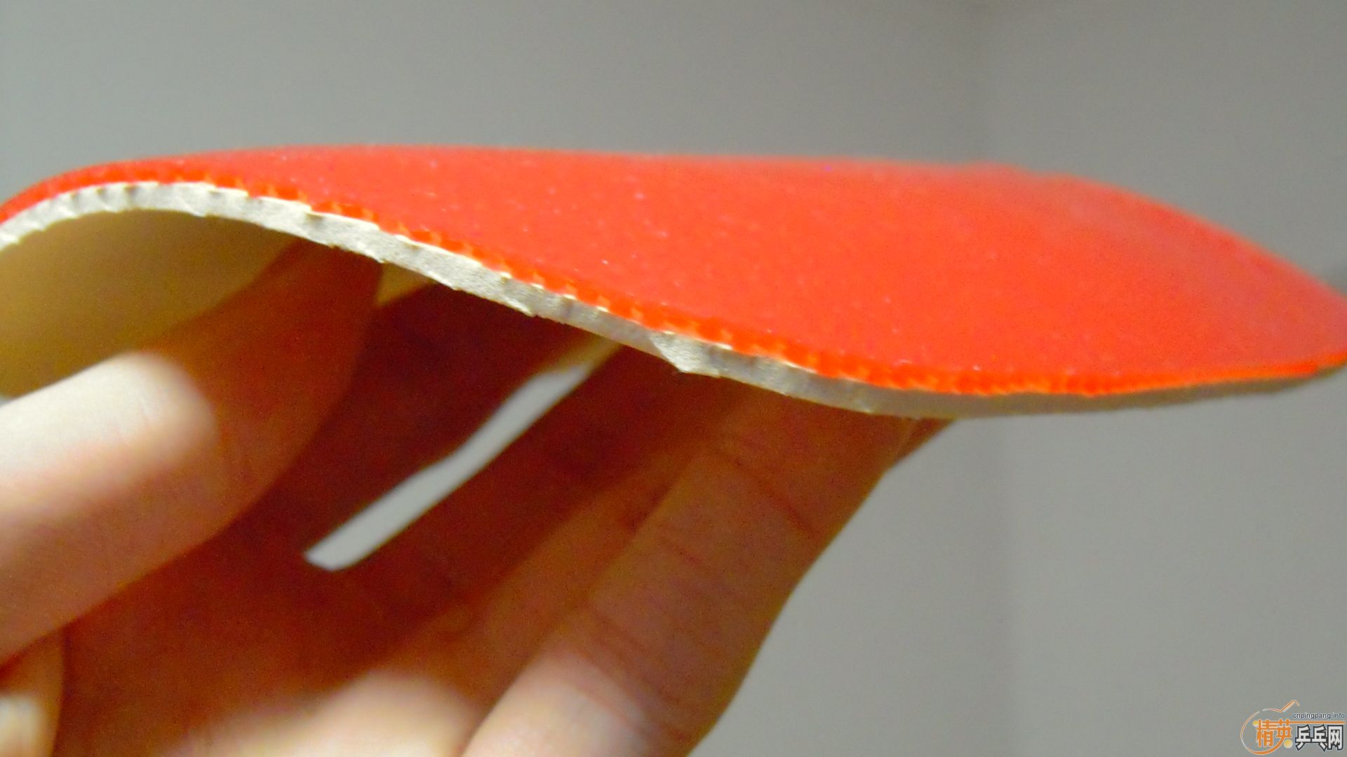 �������к���ROUNDELL SOFT����ɫ2.1��110���ʣ��������飡