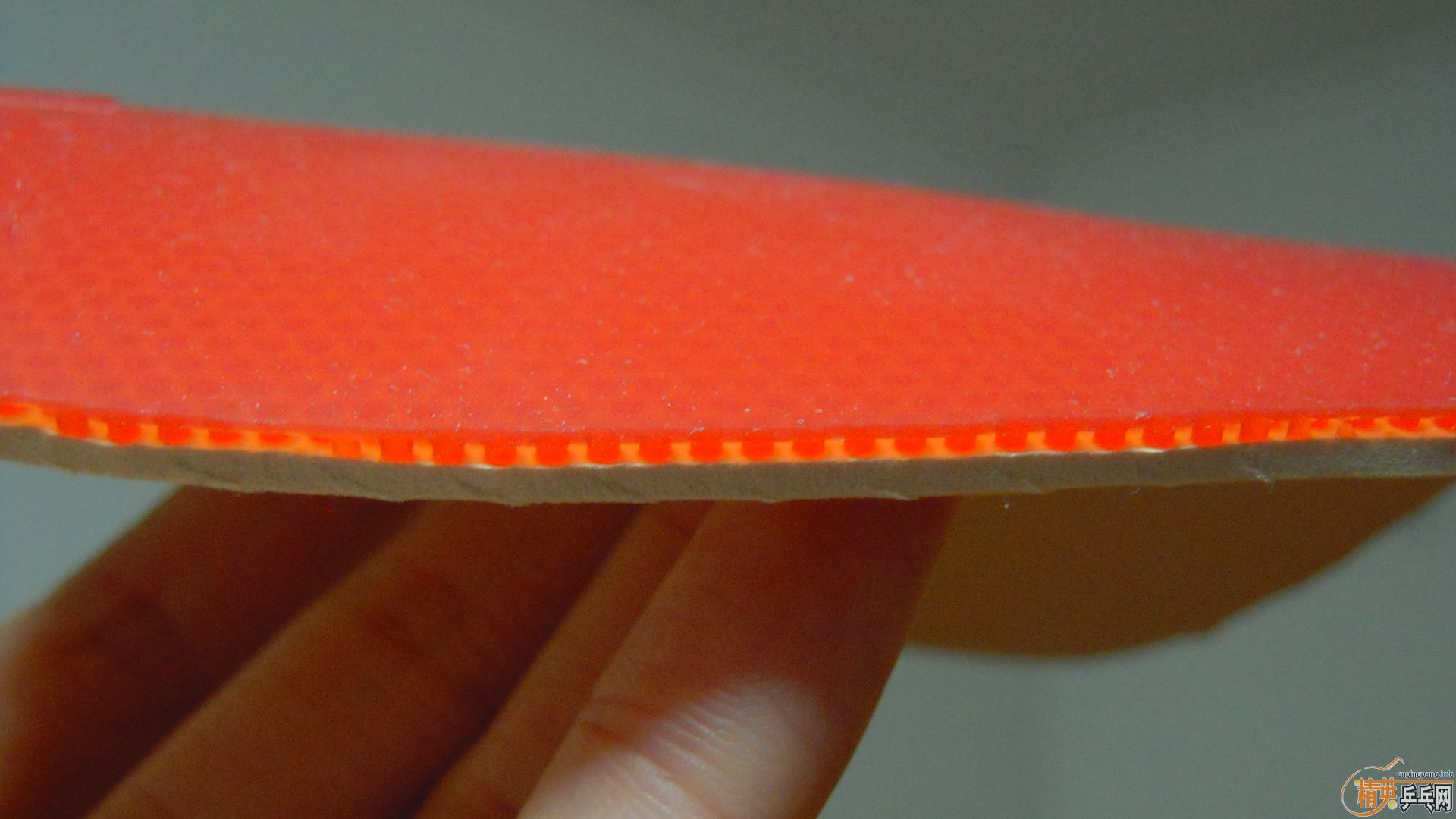 �������к���ROUNDELL SOFT����ɫ2.1��110���ʣ��������飡