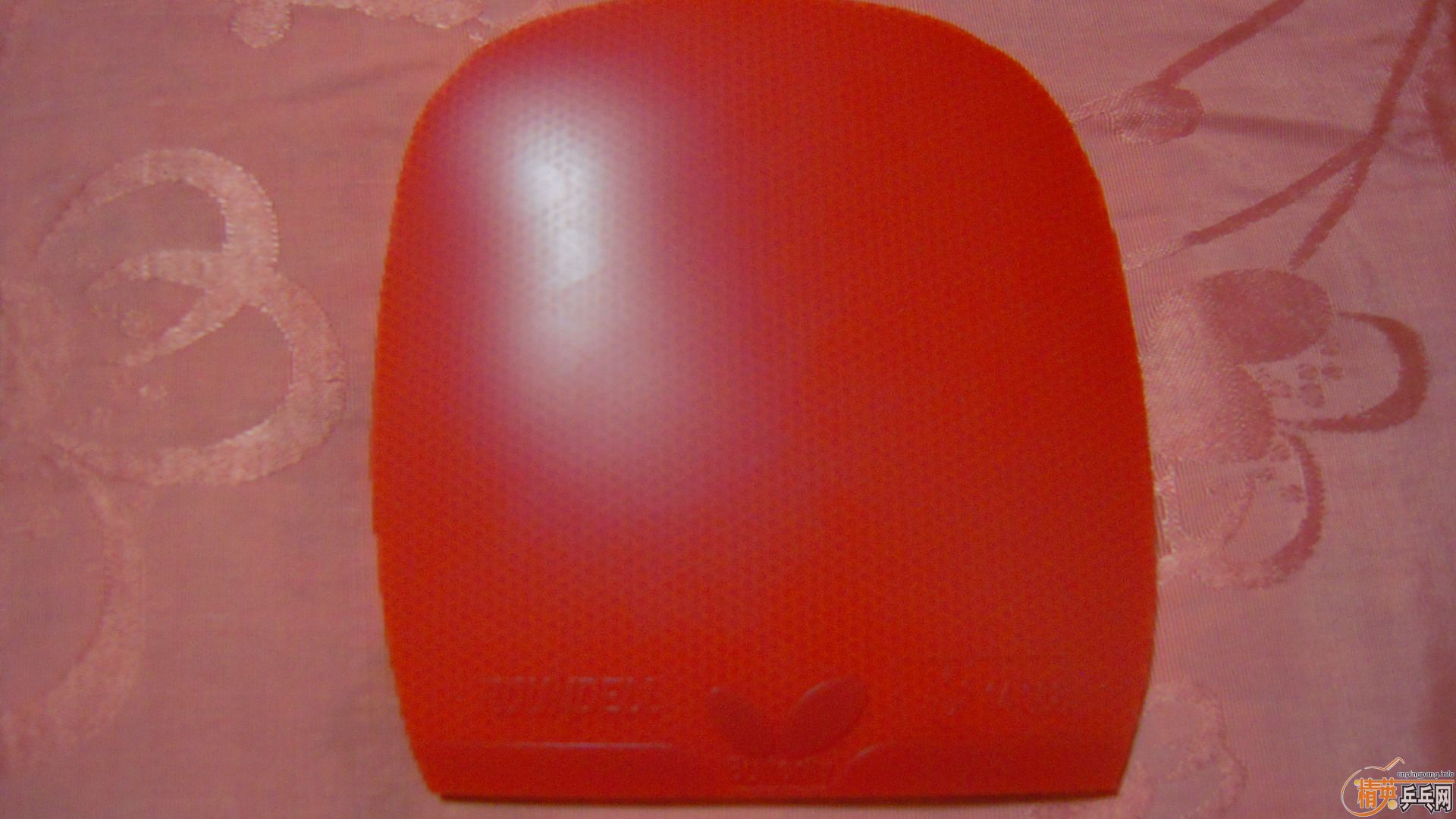 �������к���ROUNDELL SOFT����ɫ2.1��110���ʣ��������飡