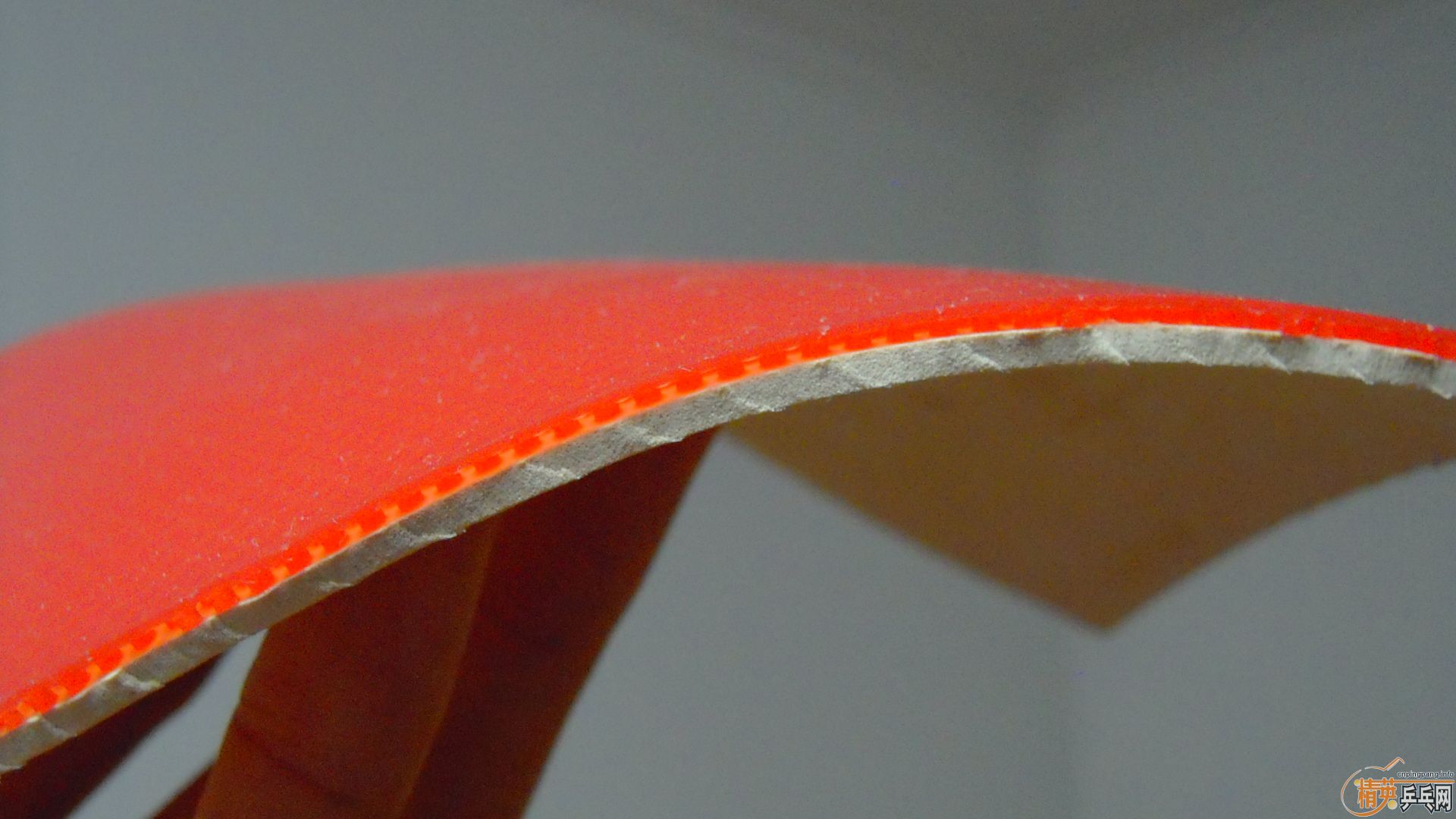 �������к���ROUNDELL SOFT����ɫ2.1��110���ʣ��������飡