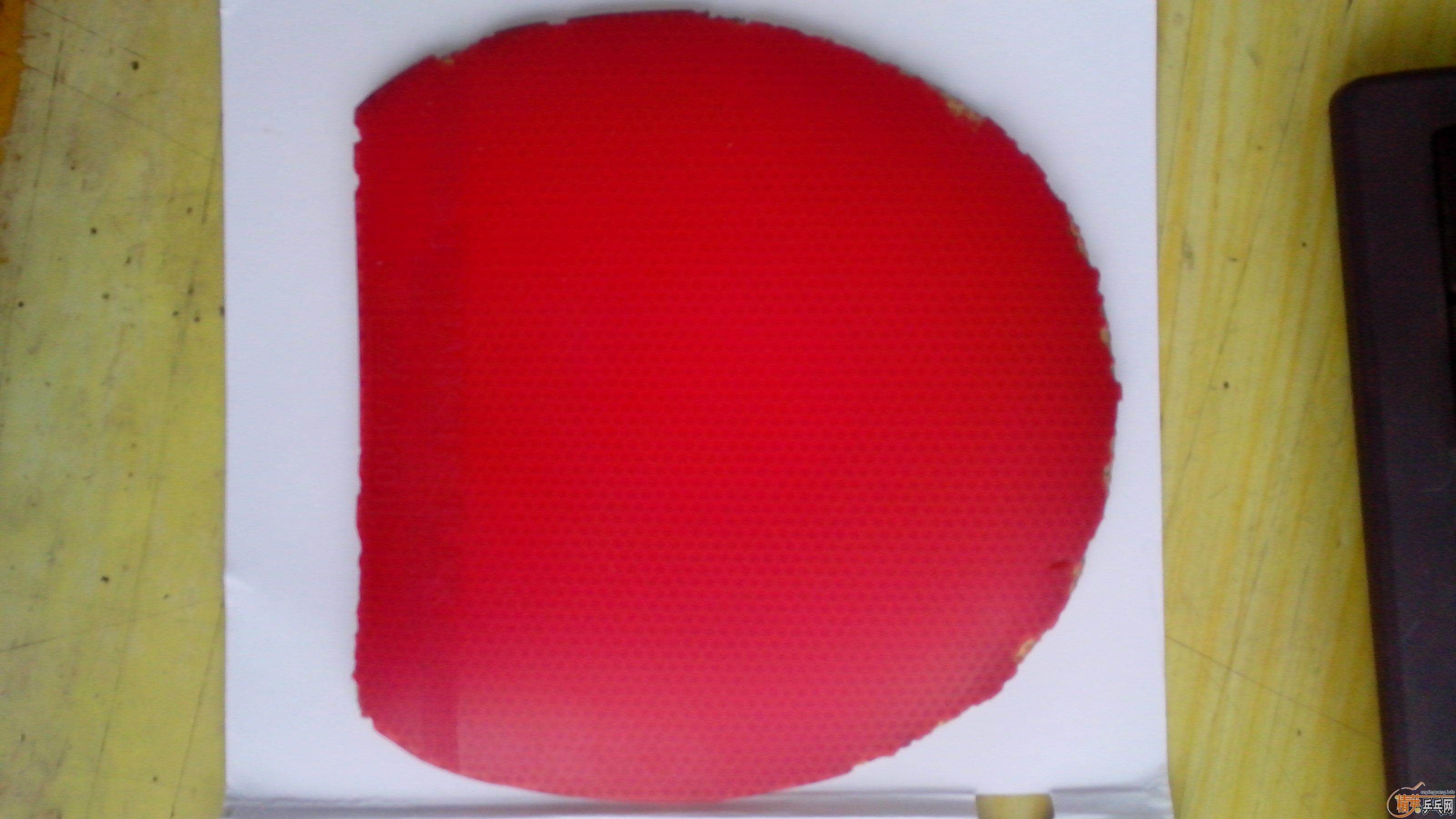 ���ſ��3 һ�����ֳ����� ��������