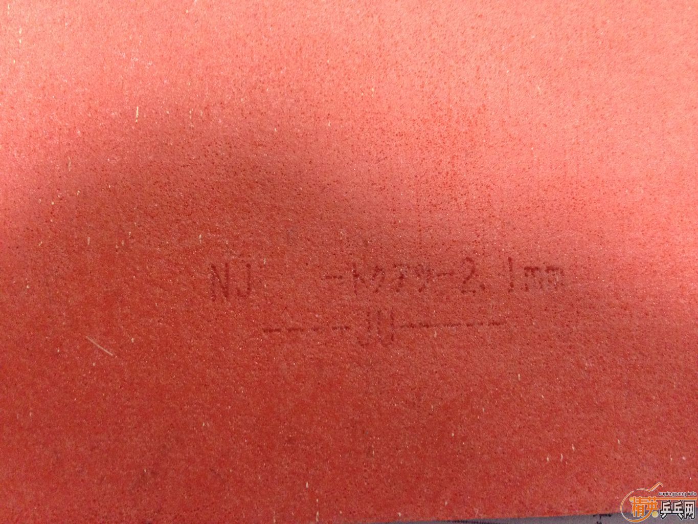ȫºɫT05