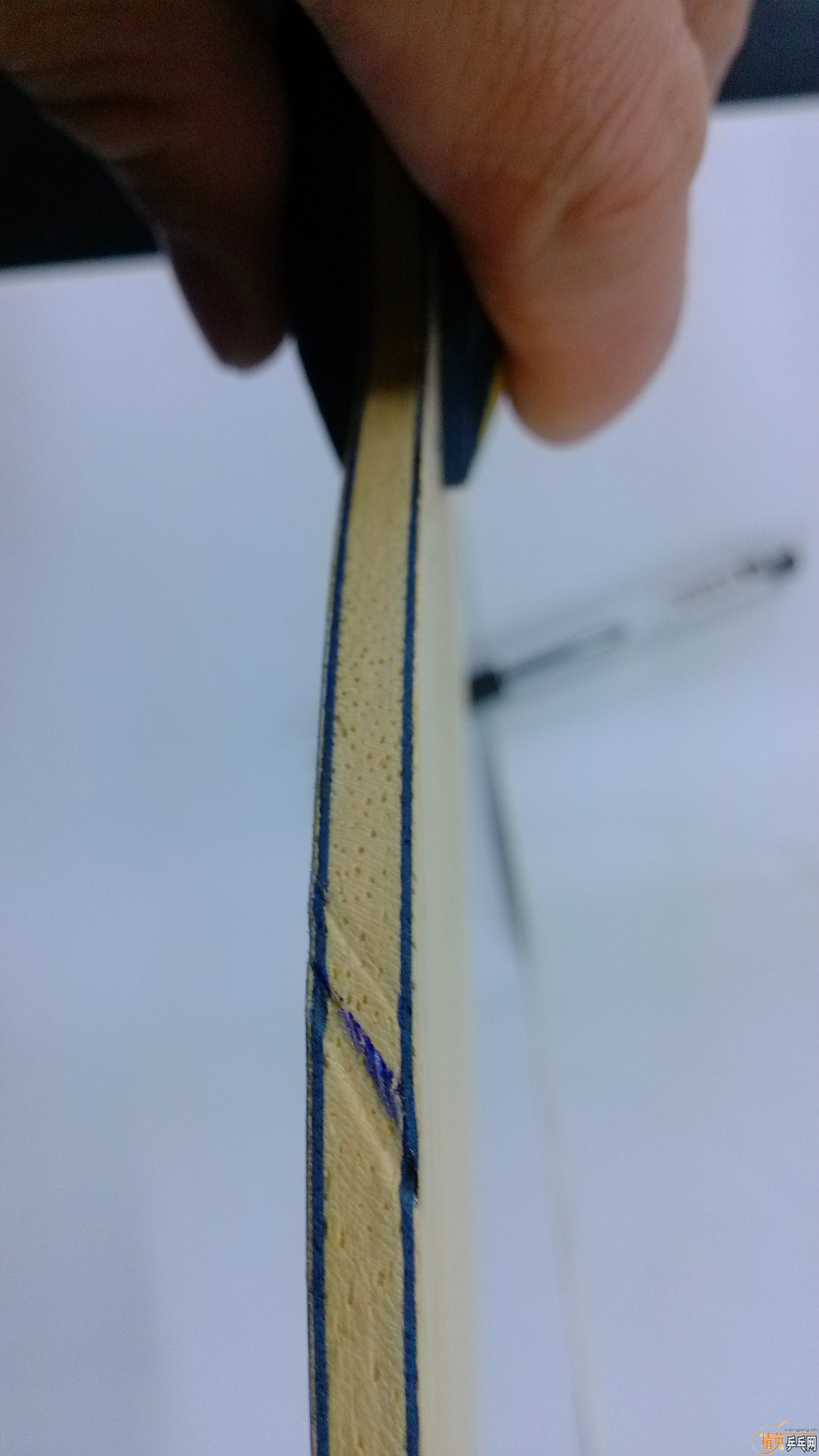 ��˹�ٿ�EG-WRB��CLCR-WRB