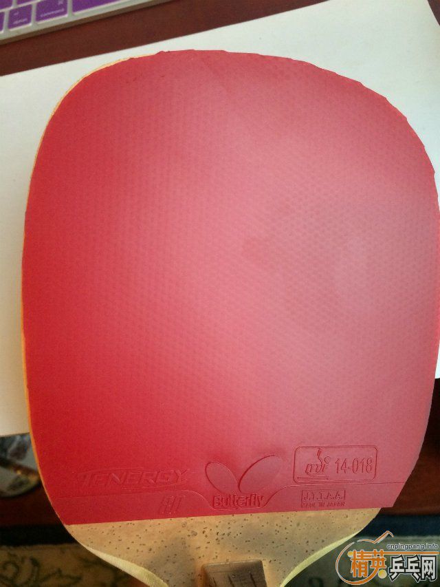 ���Butterfly ������� CYPRESS MAX H��