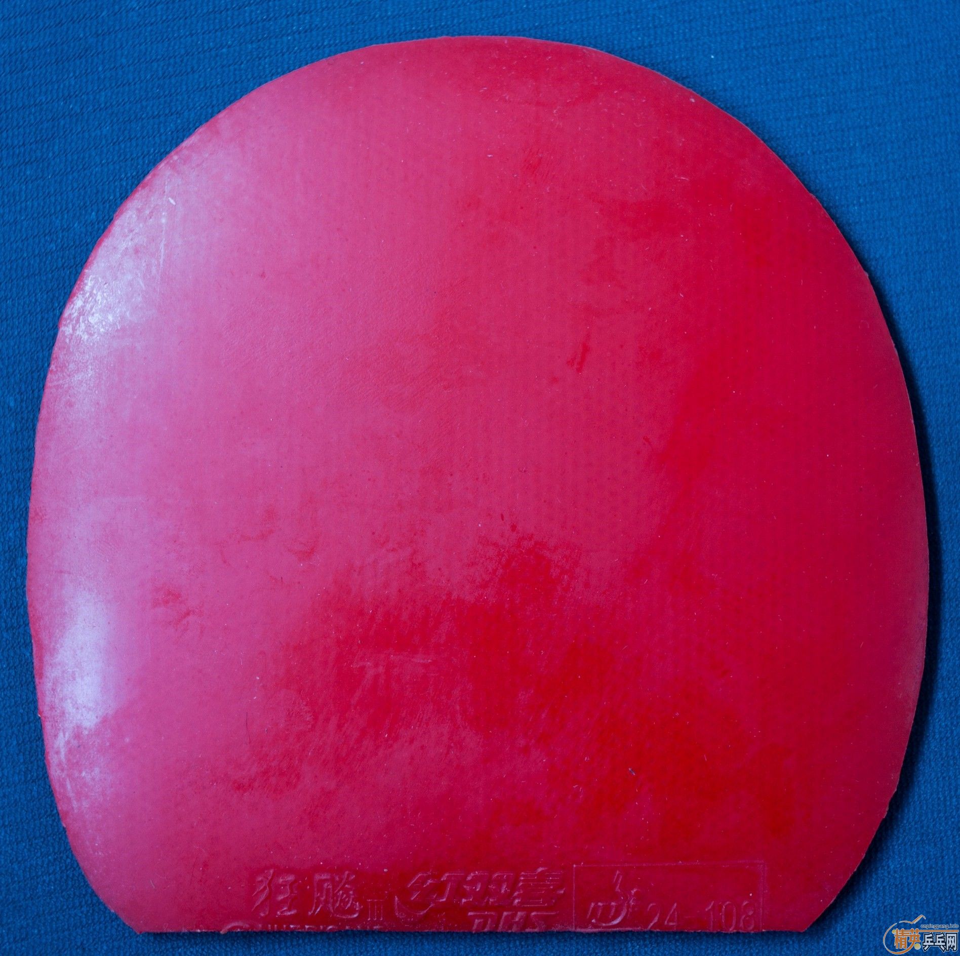 �������׽���10��ʡ����3�ţ�9��NEOʡ����һ�š�9�ɲ���JOһ��