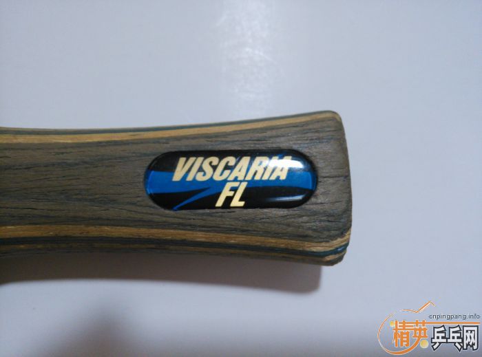 ��������������vis����FL����