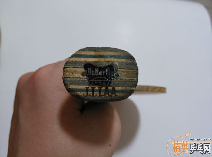 ��������������vis����FL����