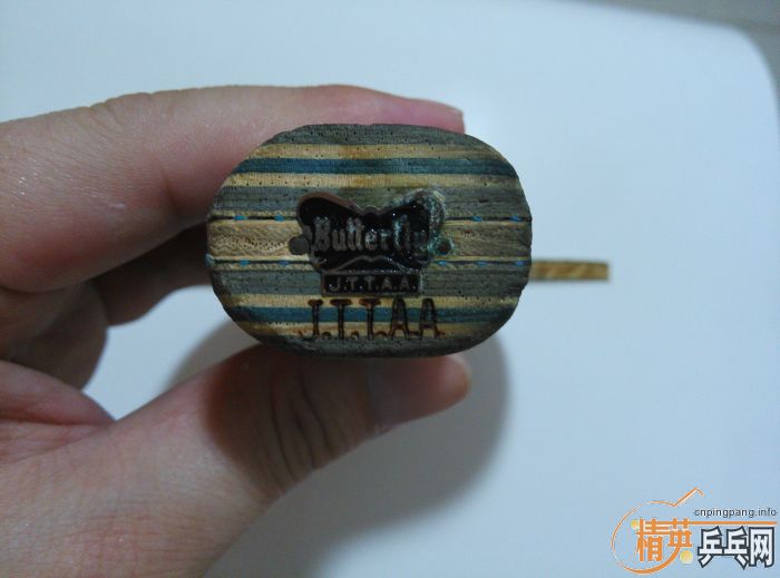 ��������������vis����FL����