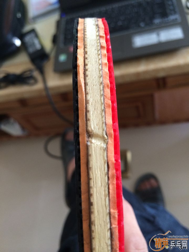 �л���ľ5   ��ǿ��ľ