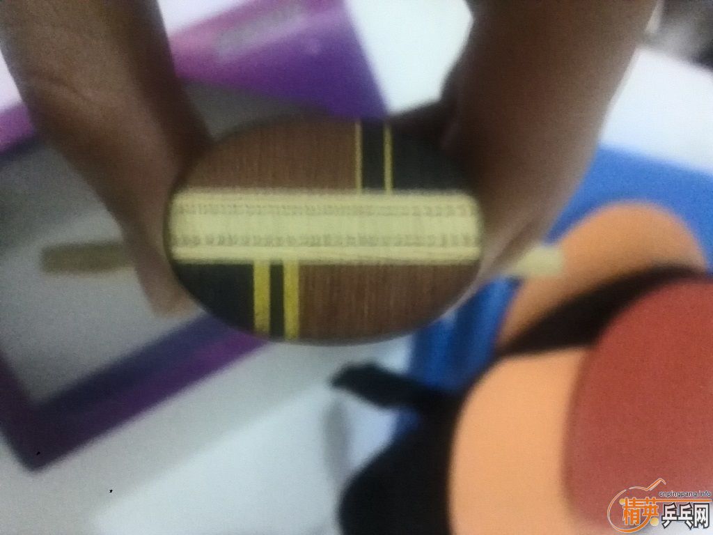 ���������һ�װ�450Ԫ