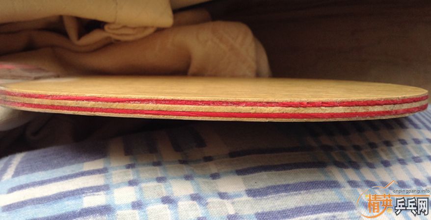 ��Ѫ������壺˹�ٿ�CL-CC������Ů����Ȩ��