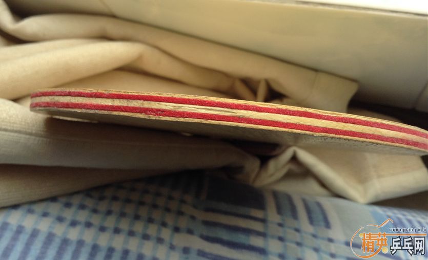 ��Ѫ������壺˹�ٿ�CL-CC������Ů����Ȩ��