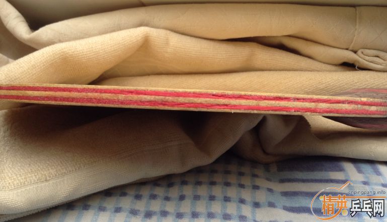 ��Ѫ������壺˹�ٿ�CL-CC������Ů����Ȩ��