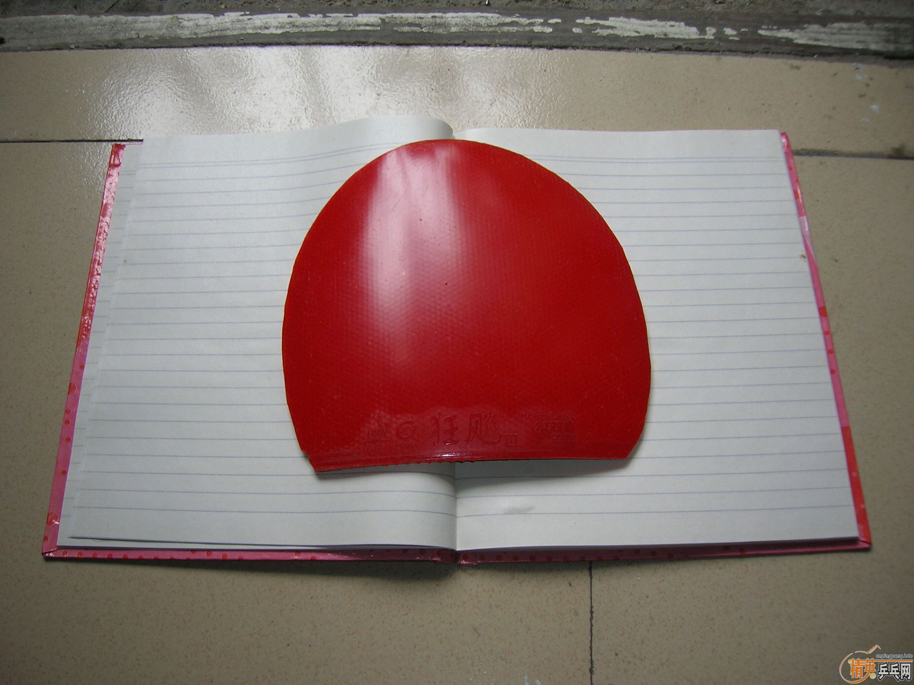 ʡ��3 ��ɫֱ���� 65����