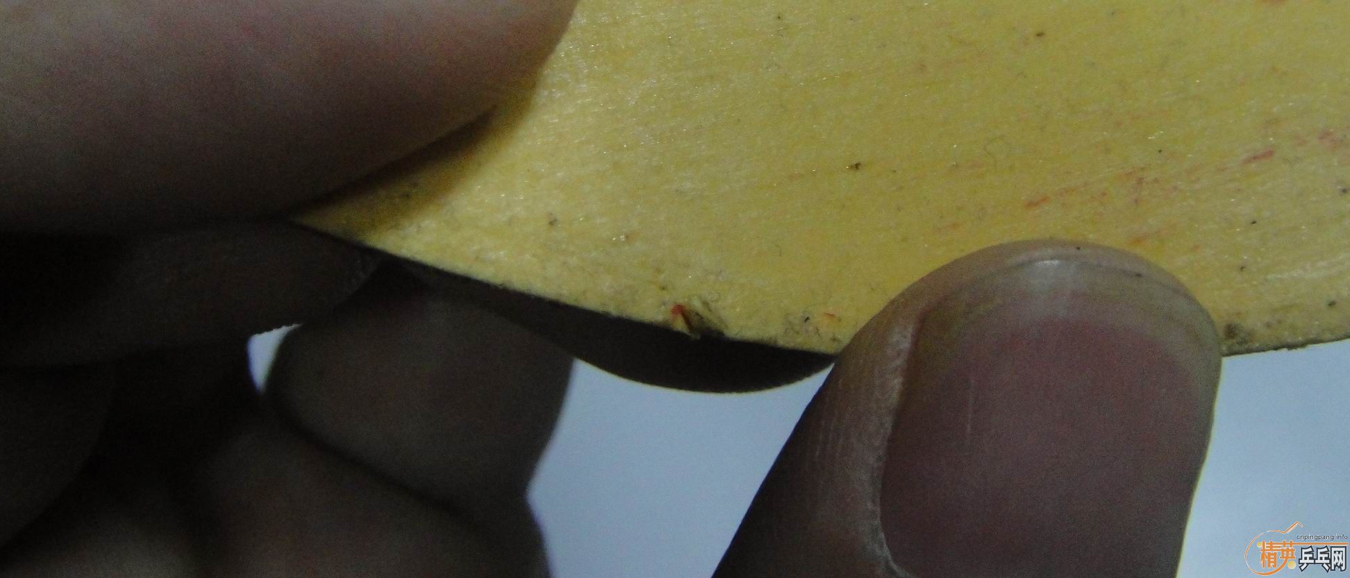 stigaALmana, Neo ʡ��38�ȣ�Sriver�����ǳ������