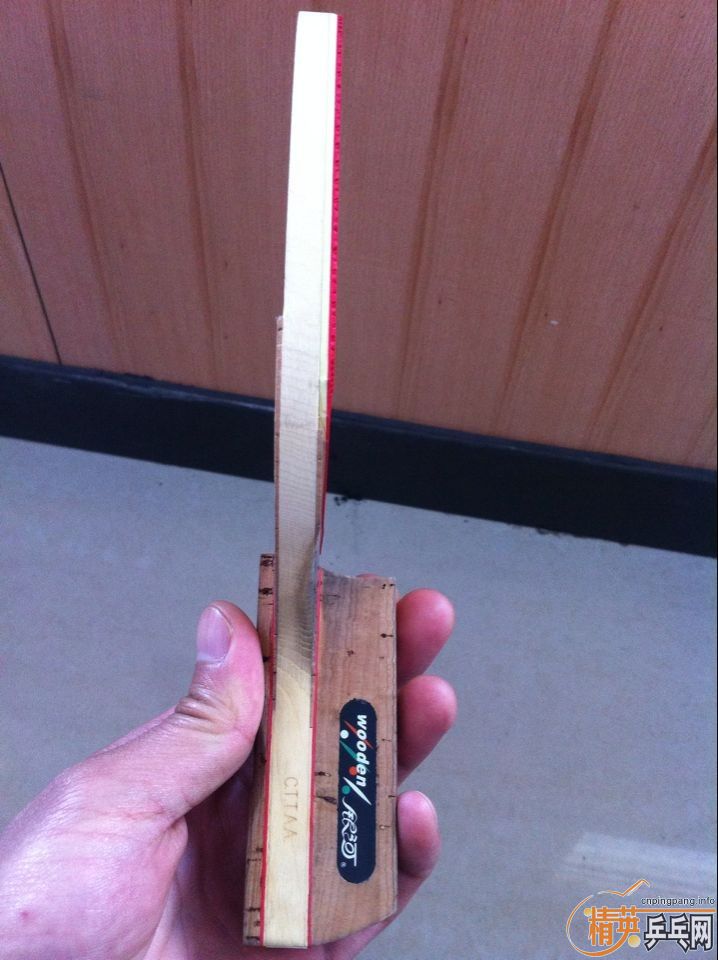 ������982����160Ԫ����