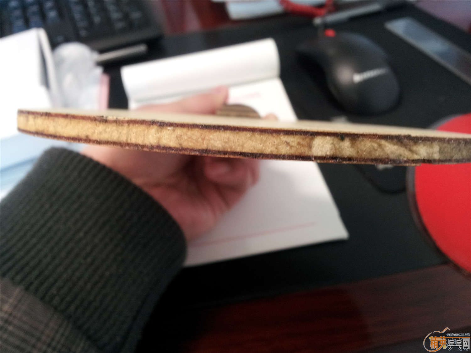 [ԭ��]ŷ��������ɫ VPS V�������ֿ��2������5 Qȫ�׳���~~~~~~~~~~~~