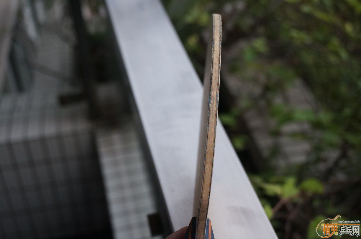 [ԭ��]1000Ԫ����������G��82�����˴����۵�TBS(��������) ����