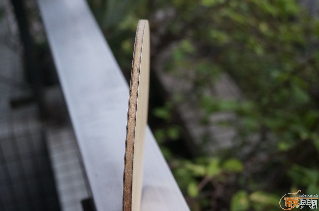 [ԭ��]1000Ԫ����������G��82�����˴����۵�TBS(��������) ����