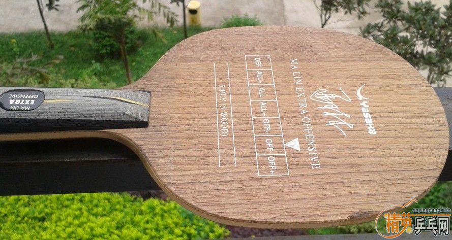 �հ�YEO  310 ����