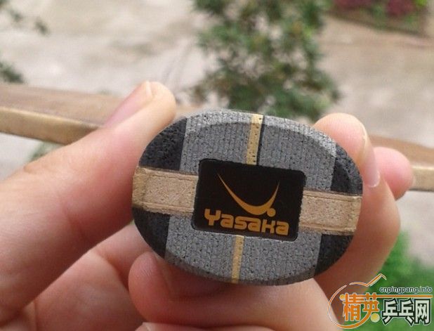 �հ�YEO  310 ����