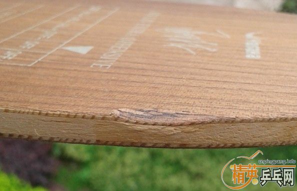 �հ�YEO  310 ����