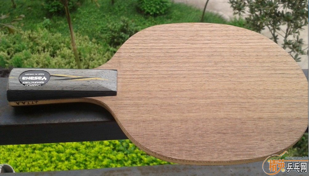 �հ�YEO  310 ����