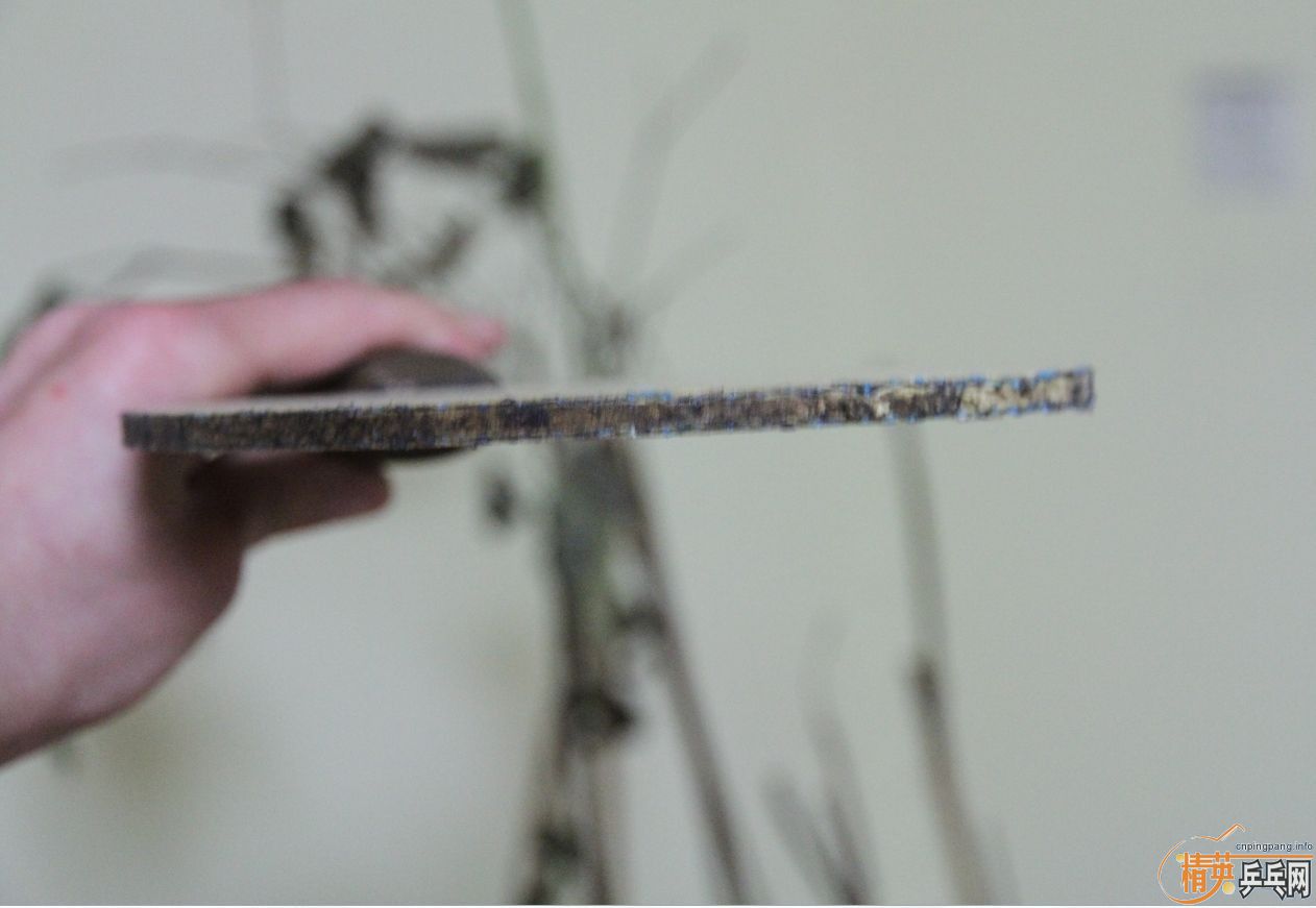 һ�ĳ�Ʒ�����׽�����ź�������VIS.........................