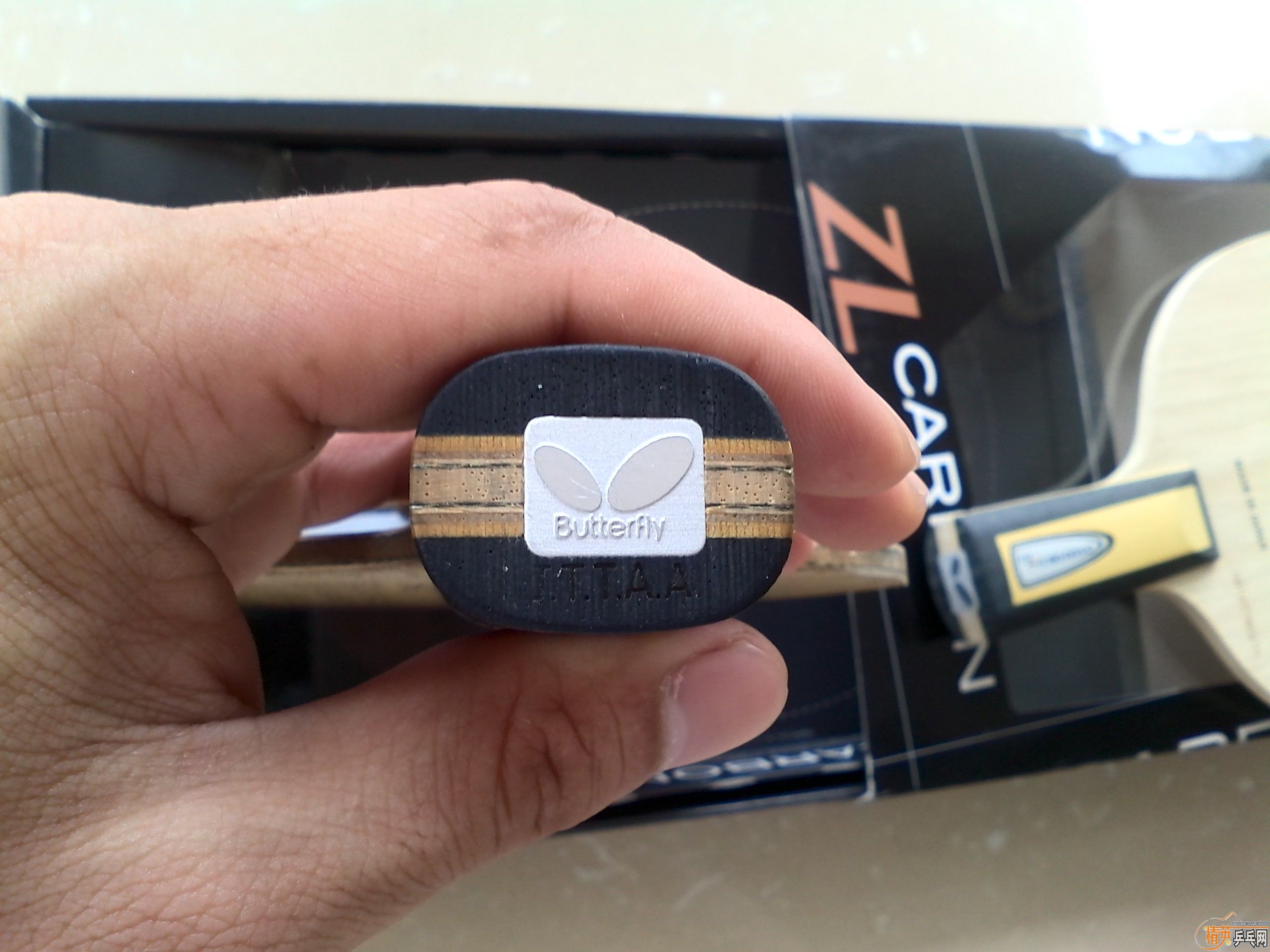 ��inn zlc�����ִ���ϲ���Ľ���