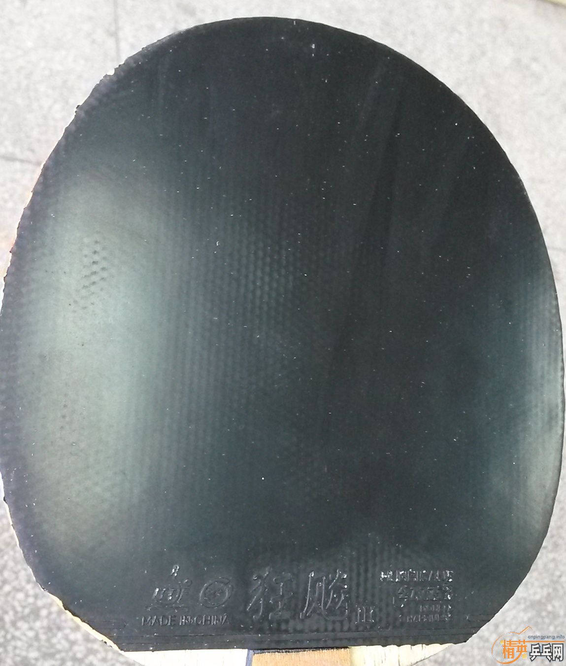 ���ָ��۸����Ե�ˡ�L�롾��������TBS��