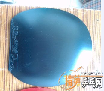 ��������������տ�