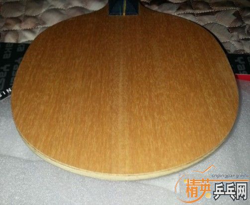 �հ�YE��ʡ��������