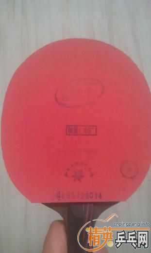 �����ף�����X1������EL������������أ����µ�MAZE