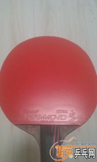 �����ף�����X1������EL������������أ����µ�MAZE