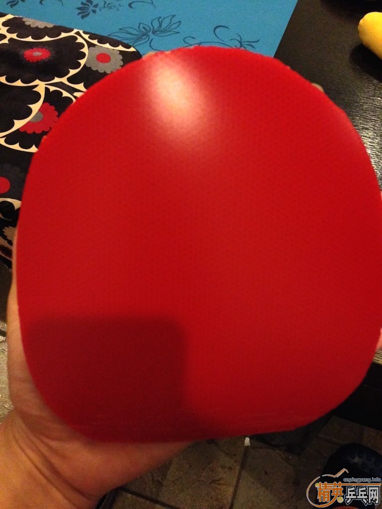 ��9���½�Ƥ���ţ�����